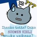 Finn nyelvtanfolyam
