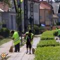 Pécsett tovább bővül a közfoglalkoztatottak köre